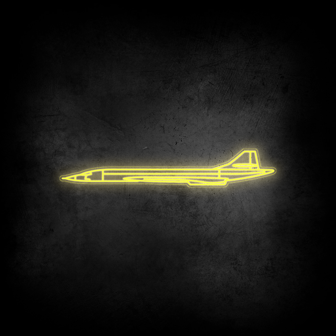 Concorde Neon Silhouette
