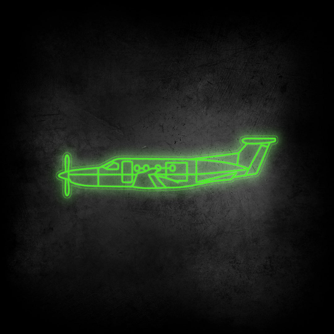 PC 12 Neon Silhouette