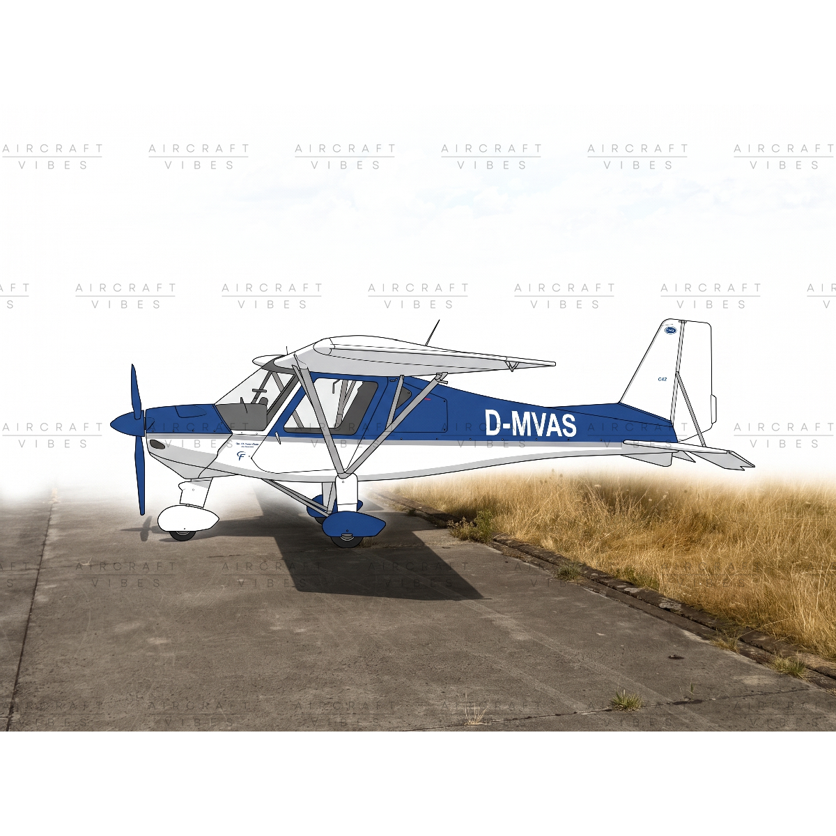 Your Custom Plane Acrylic Print