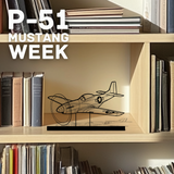 P-51 Mustang Silhouette Metal Wall Art